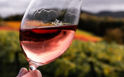 Low Sulfite Wine Explained